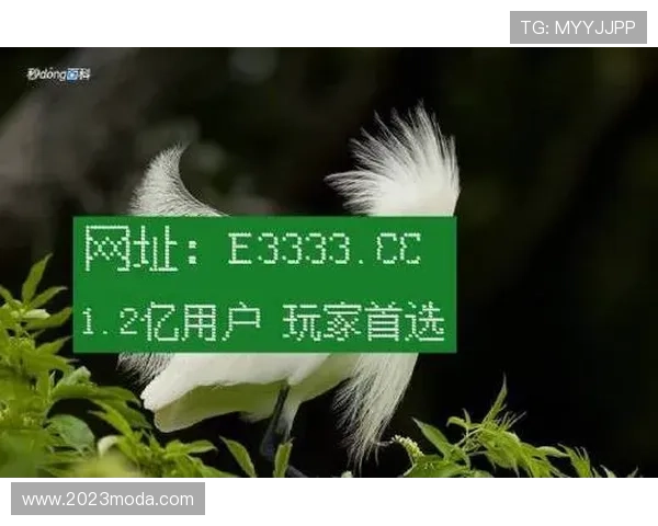 凯时娱乐网址安全支付方式介绍与保障用户资金安全措施