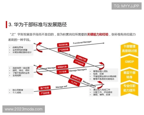 尊龙用现金一下指导ag发财网实用技巧全方位解析助你快速实现财富增长